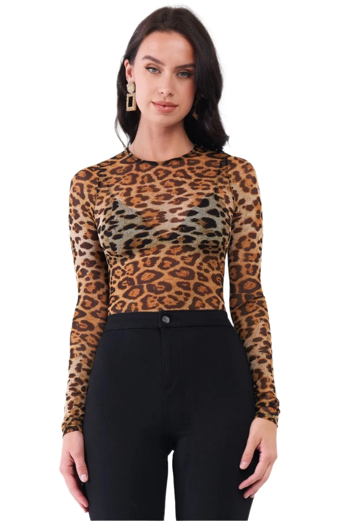 Brown Leopard Print Sheer Mesh LS Bodysuit