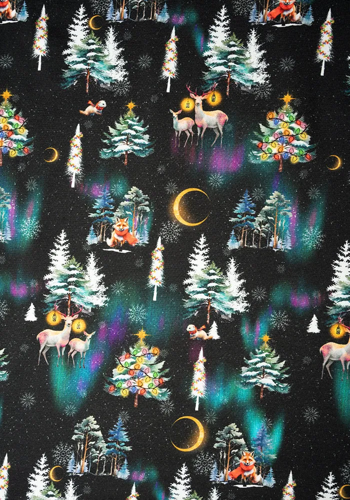 Frosty Aurora Scene Print Cotton Dress