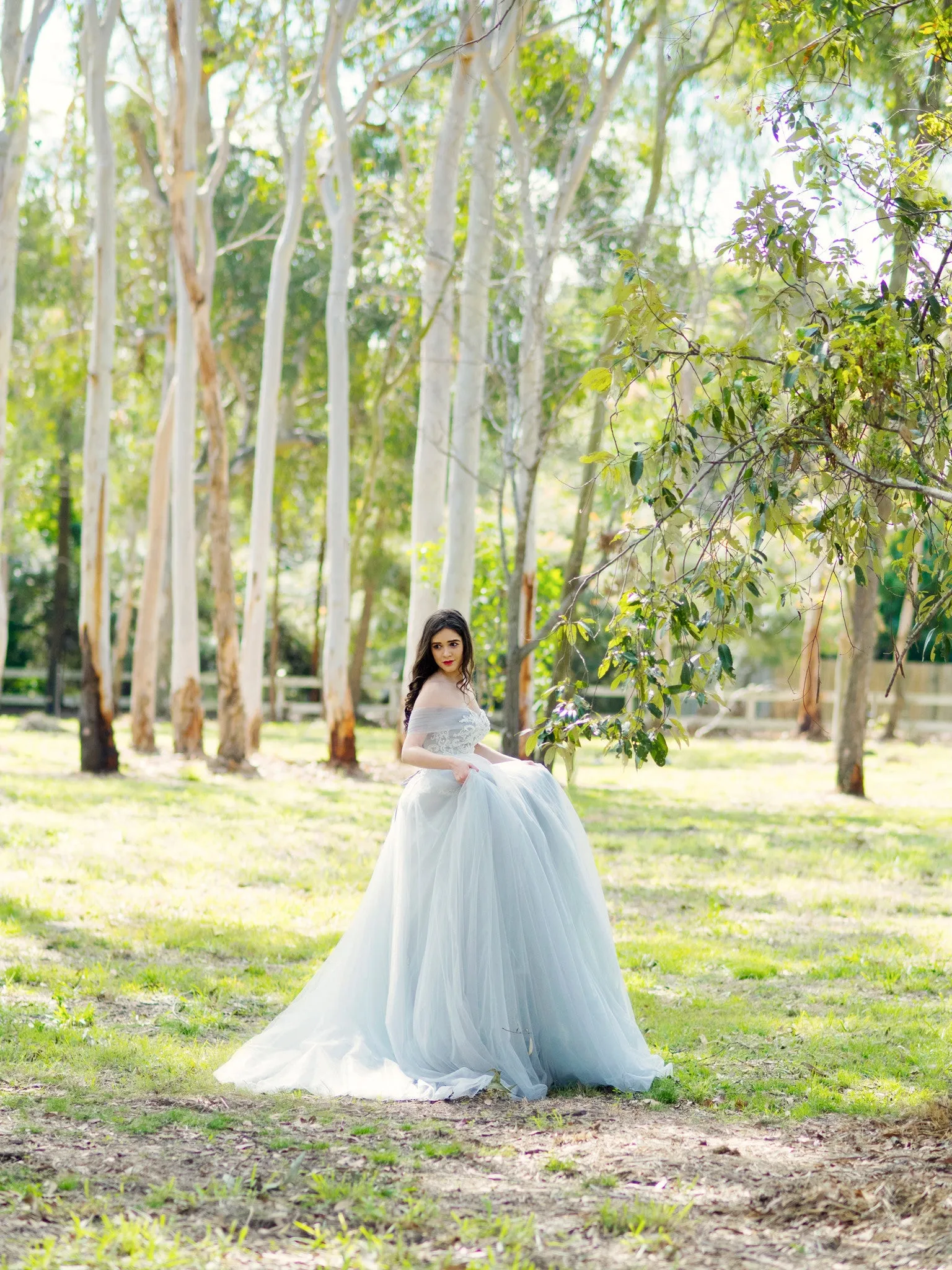 Princess walk grey wedding dress