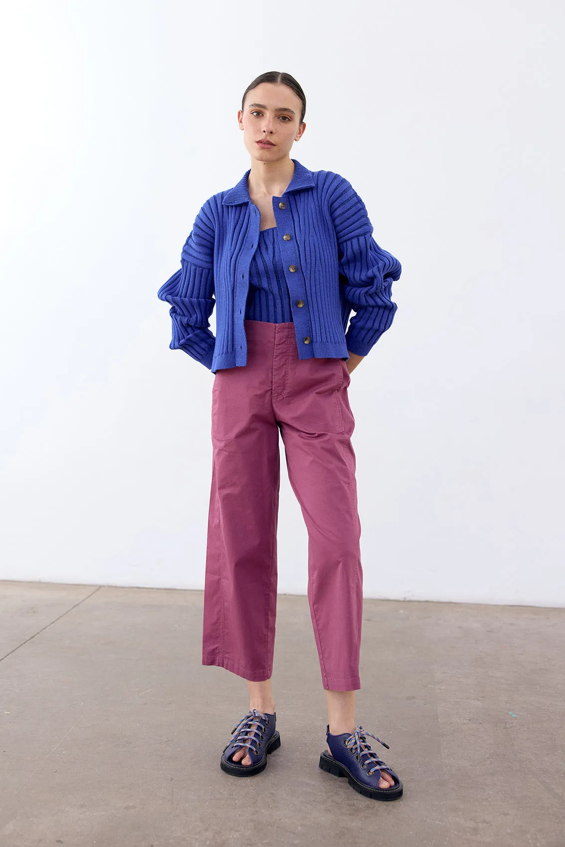 Straight-Fit Pant Cotton Gabardine - Ciruela