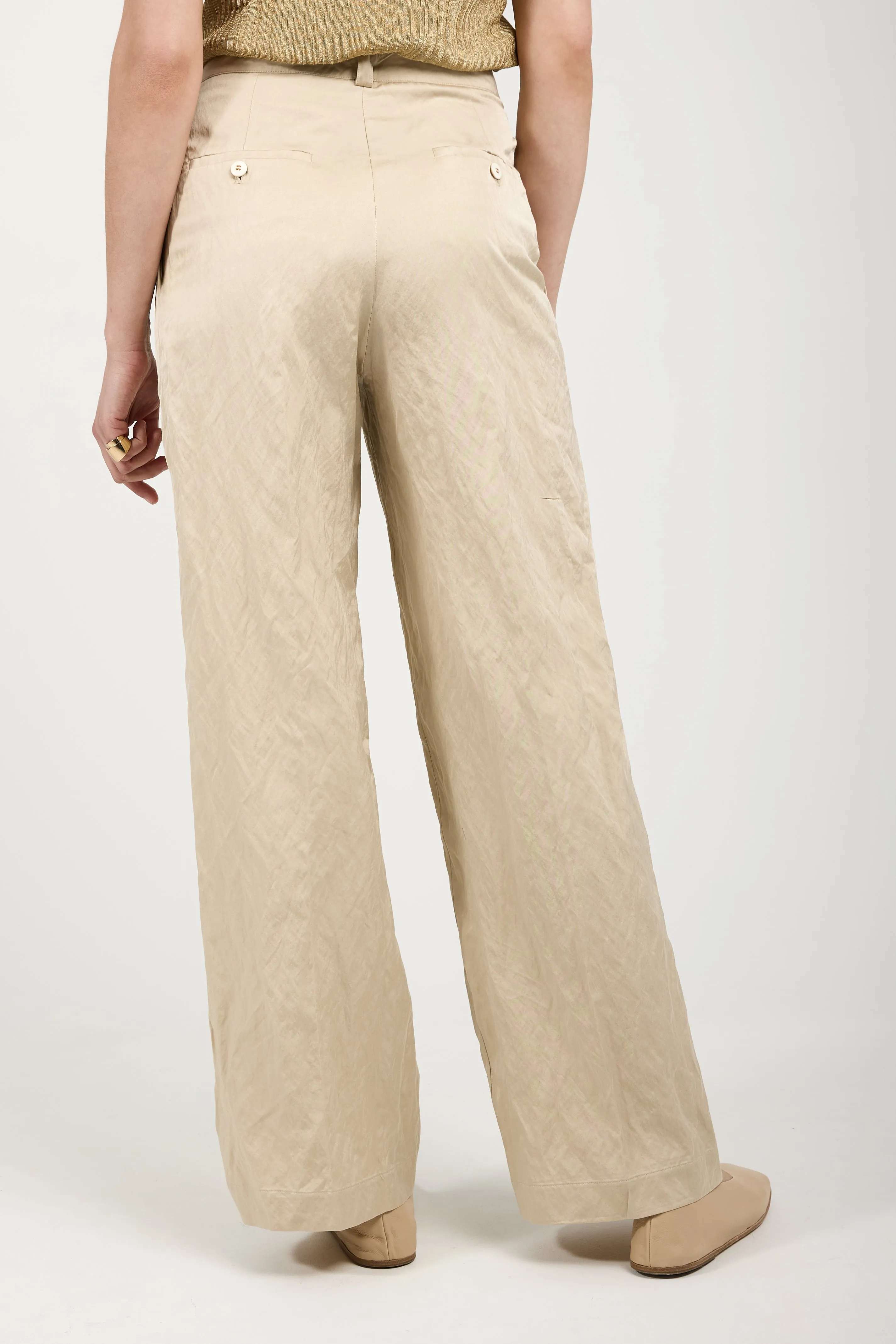 Woven Trouser Pant in Beige