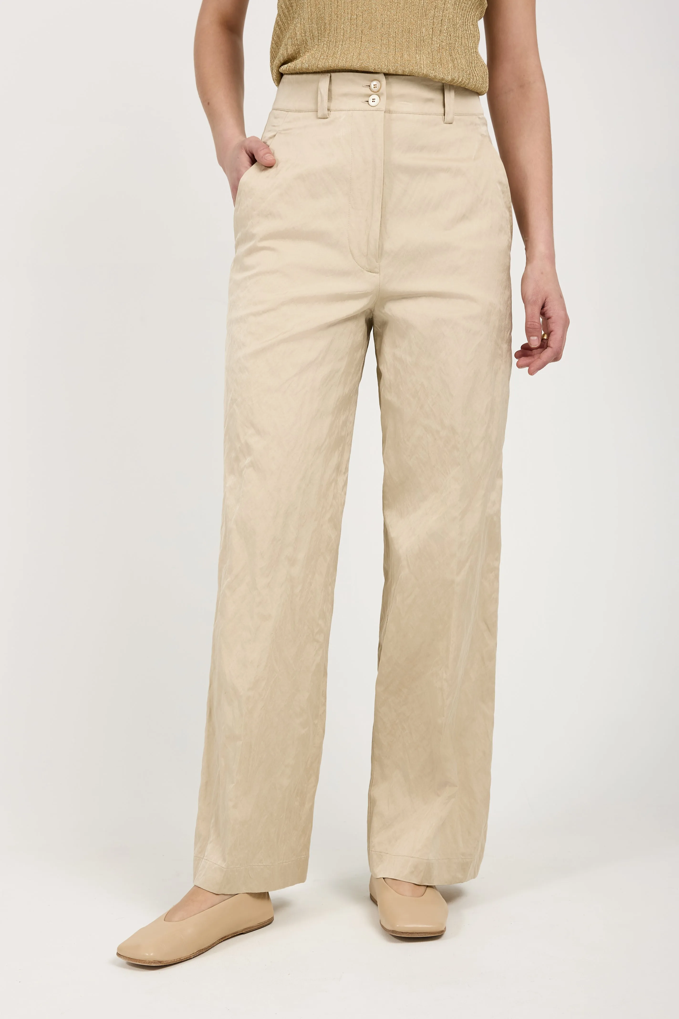 Woven Trouser Pant in Beige