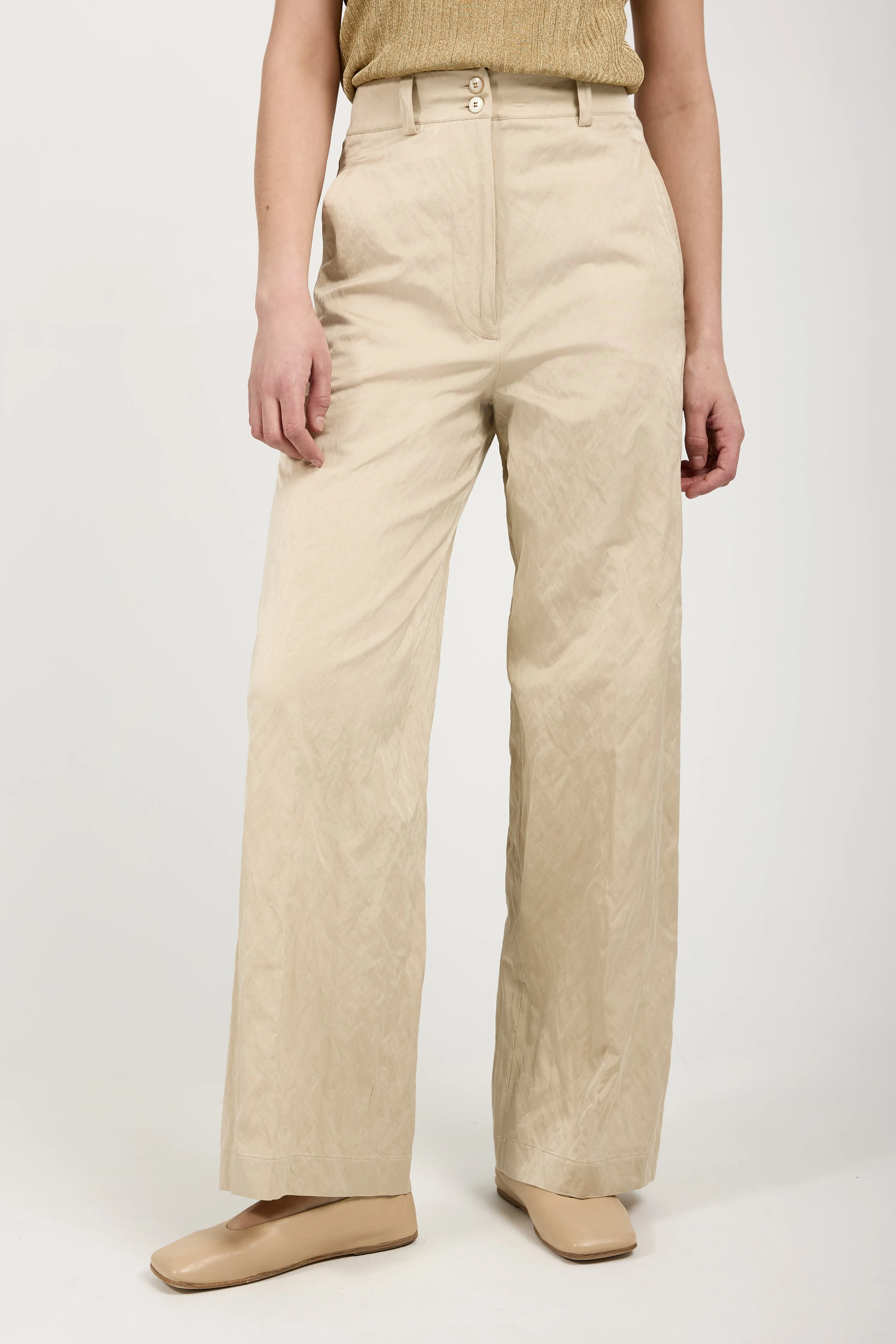 Woven Trouser Pant in Beige